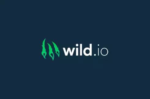 Wild.io - Online Casino ohne Verifizierung 2026